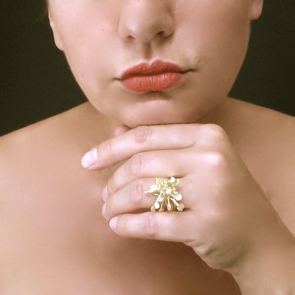 Signature Precious cluster Ring, 18ct yellow gold satin by Fiona DeMarco